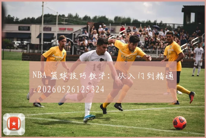 NBA 篮球技巧教学：从入门到精通_20260526125324