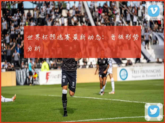世界杯预选赛最新动态:晋级形势分析